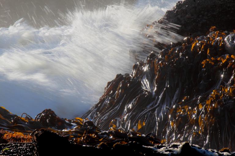 Piha surf around the rocks